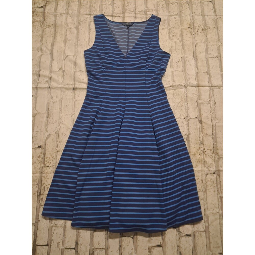 Peter Som by Design Nation Women's Size 4 Swing Dress Dark and Light Blue Stripe